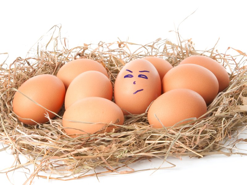 Eggs