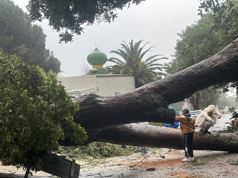 Eight people electrocuted to death in Cape Town