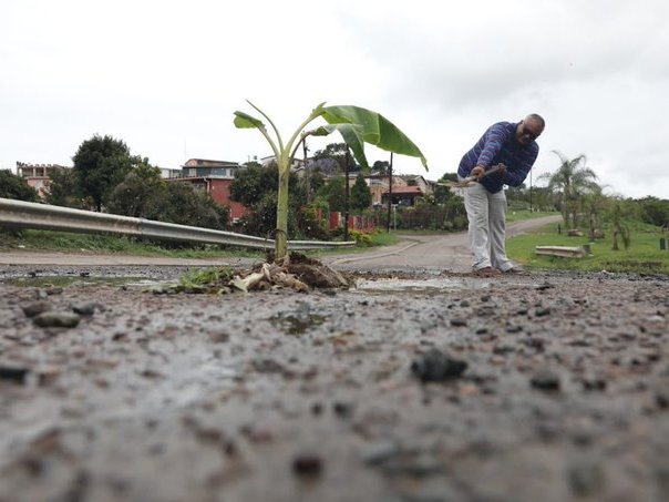 Kwadukuza man plants trees in potholes