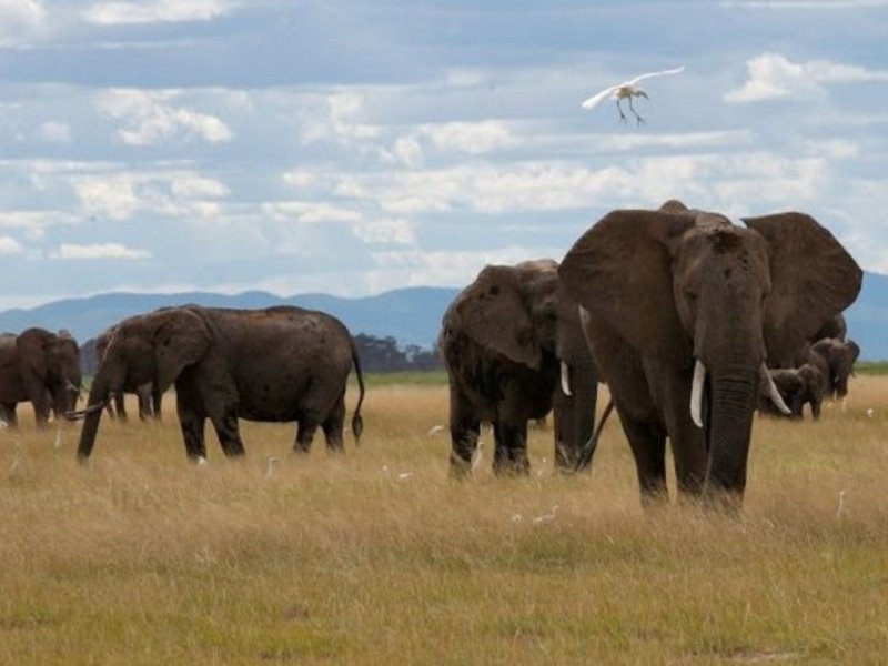 kruger national park