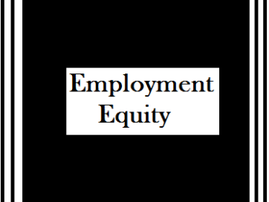 Employment-Equity-362x272.png