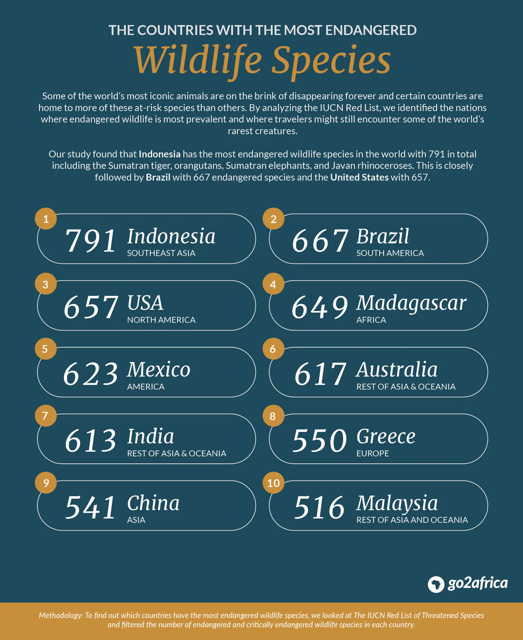 Top 10 countries for watching wildlife