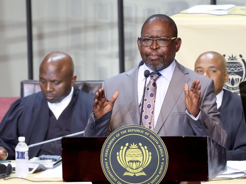 Enoch Godongwana Budget Speech