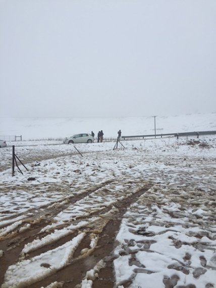 Snow chasers cost farmers thousands in damages