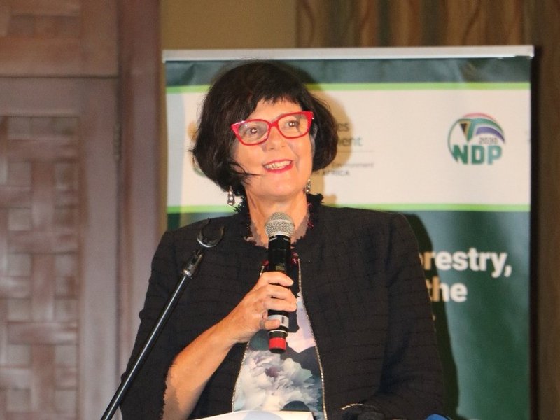 Environmental Affairs Minister Barbara Creecy 25 march