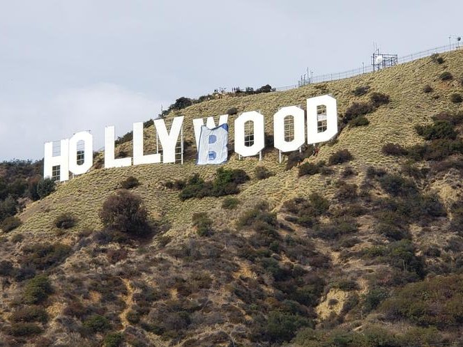 Hollyboob