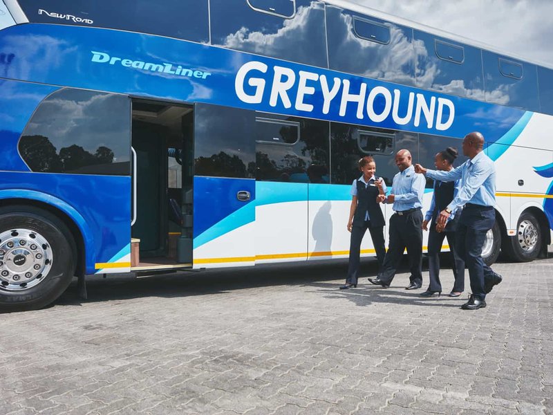 Greyhound