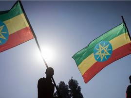 Donor nations pledge over $610 mn for crisis-hit Ethiopia