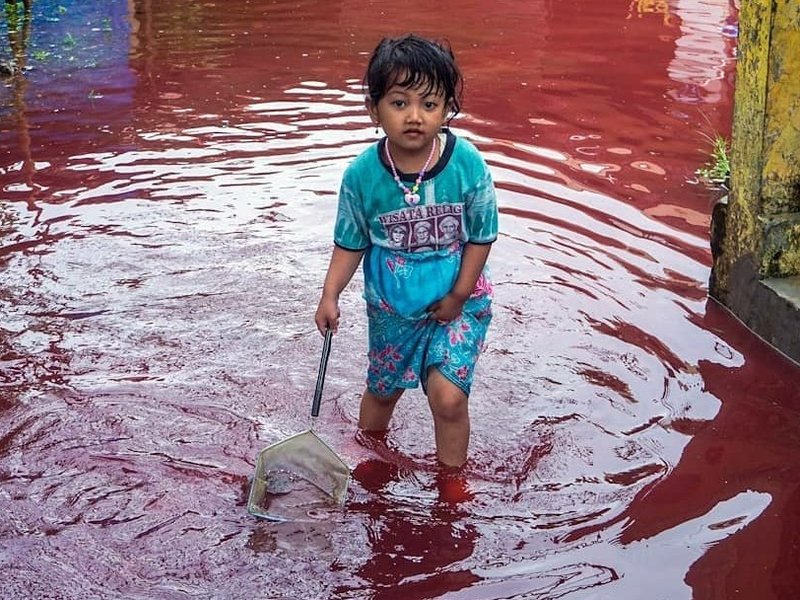 Blood flood