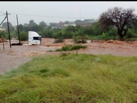 Musina