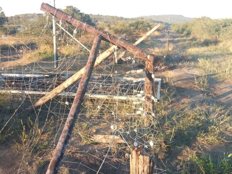 Ezemvelo KZN Wildlife protest 1.jpeg