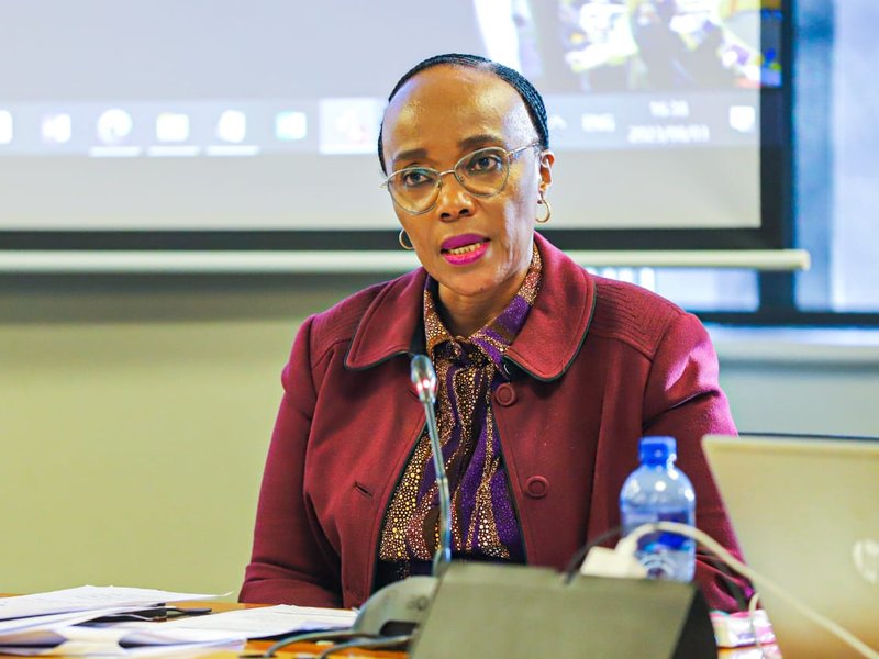 Minister of Transport Sindisiwe Chikunga generic image