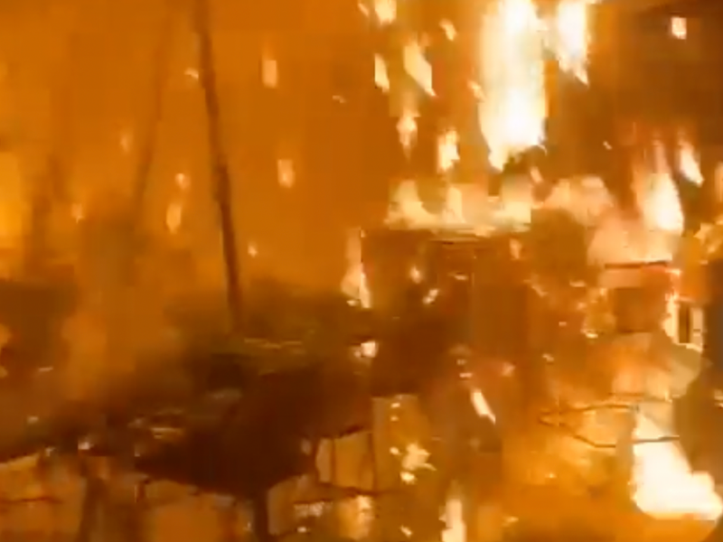 GREENHOUSE FIRE
