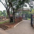 Joburg Zoo