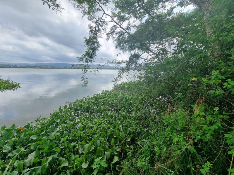 Hunt for kidnapper, murderer after girl (6) found in Inanda Dam