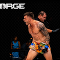 FORGE MMA cover