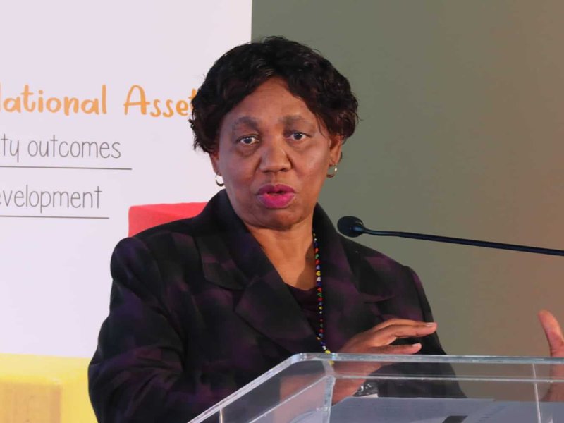 Basic Education Minister Angie Motshekga Early Childhood Development programme