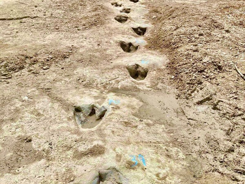 Drought uncovers dinosaur tracks in US park