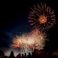 Families watching the Fireworks display