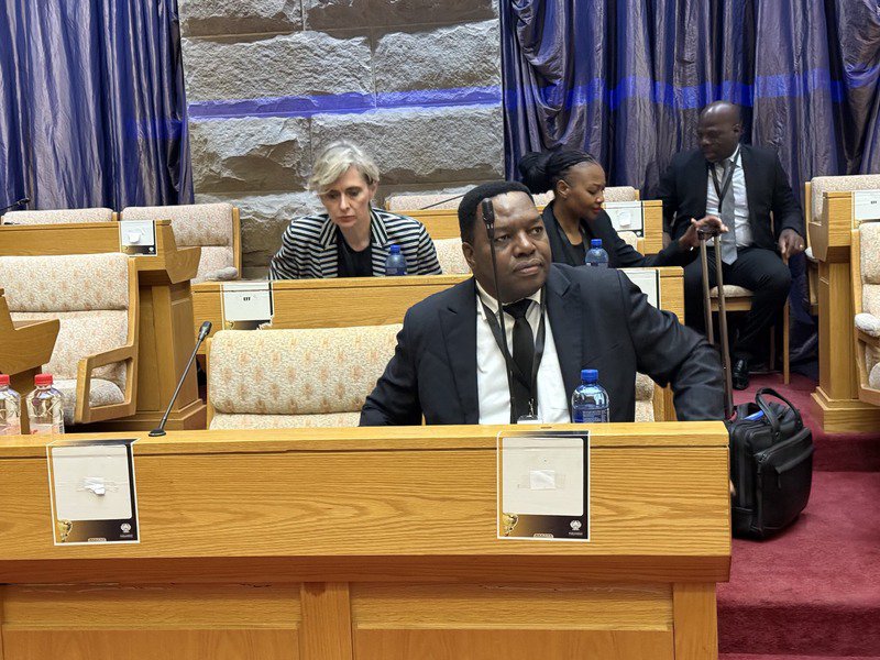 Fannie Masemola Parliament Committee