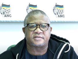 Fikile Mbalula July 2024