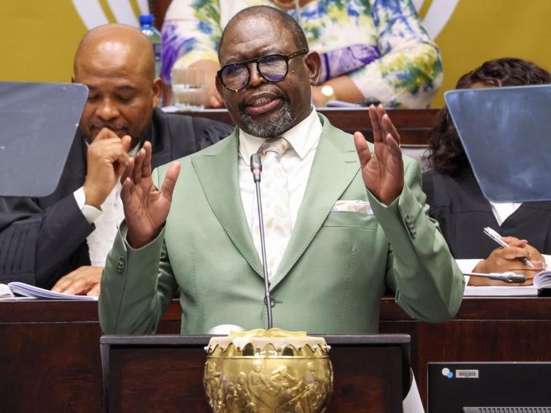 Finance Enoch Godongwana 12 Nov image 2