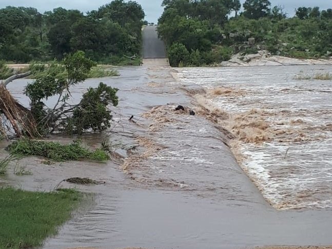 Some Kruger National Park roads closed amid wet weather