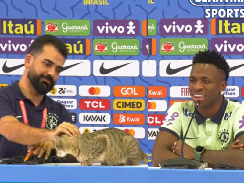 Football player at press conference with a cat
