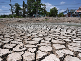 G7 to set up water coalition to tackle crises: French minister
