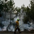 Firefighter during controlled fire operation in a forest in France July 2026