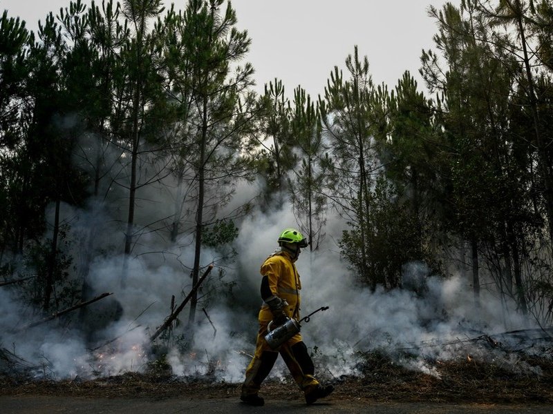 Firefighter during controlled fire operation in a forest in France July 2026