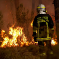 France wildfires