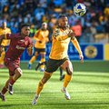 Kaizer Chiefs and Stellenbosch players