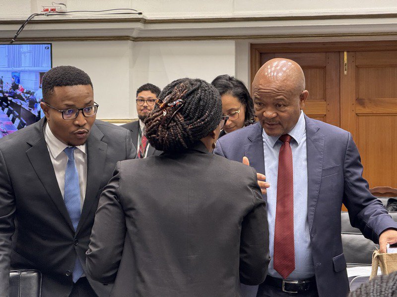 Senzo Mchunu in Parliament