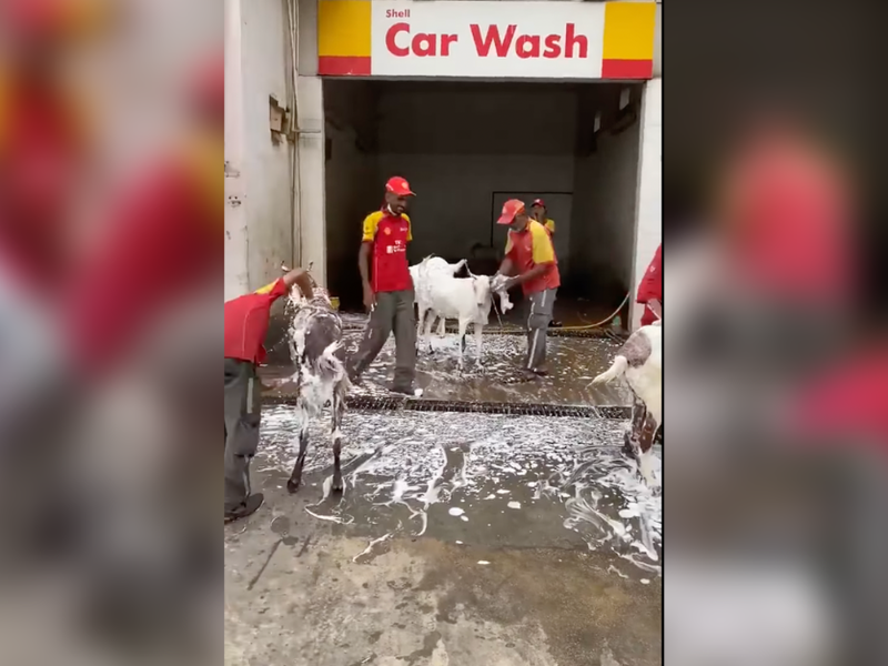 GOAT WASH