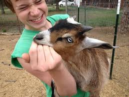 GOAT BITE.jpg