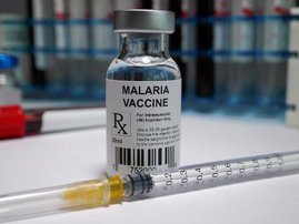 Ivory Coast receives first life-saving malaria vaccines