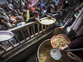 Nearly 282 million people faced acute hunger in 2023: UN-led report
