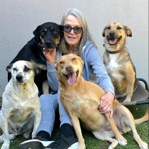 Animal rescue shelter facing hardship receives unexpected good news