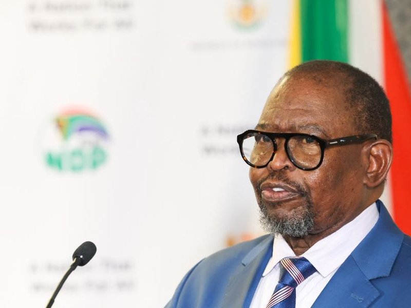 Godongwana - FinMIn