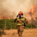 Greece Wildfire