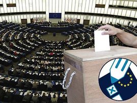 Greek-EU-Elections-to-Become-More-Direct.jpg