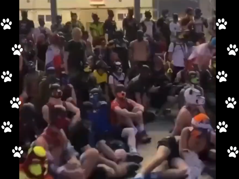 Group of humans behaving like dogs in Berlin