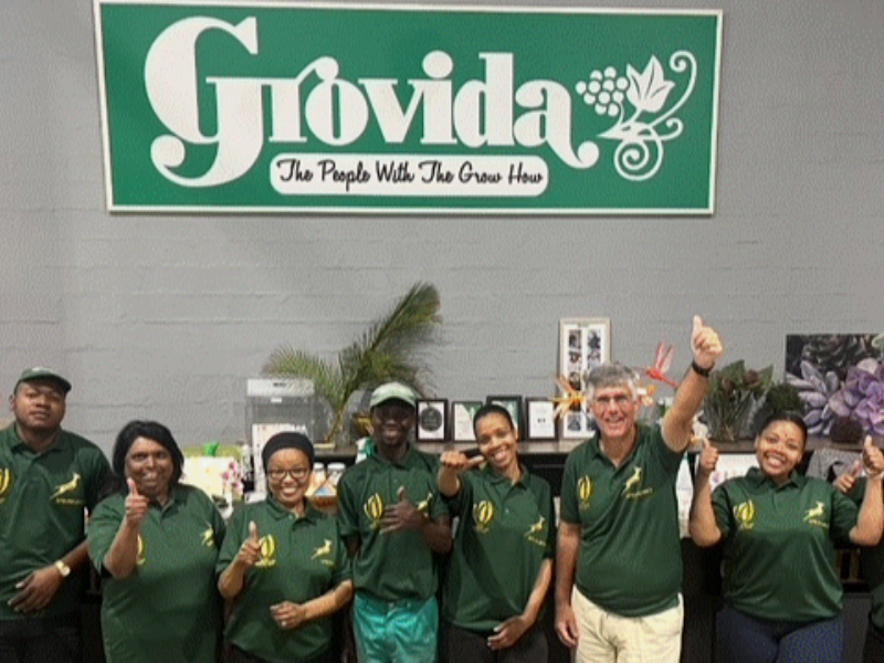 Grovida