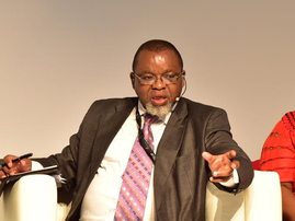 Gwede Mantashe