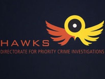 HAWKS O_2.JPG