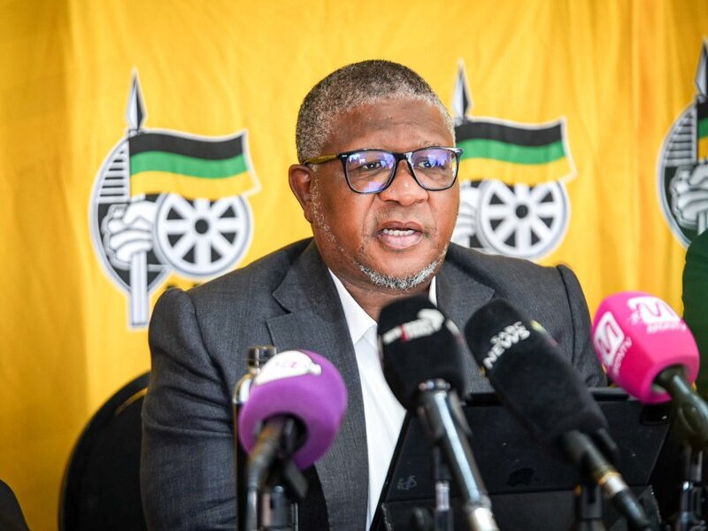 Fikile Mbalula