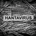 Hantavirus header