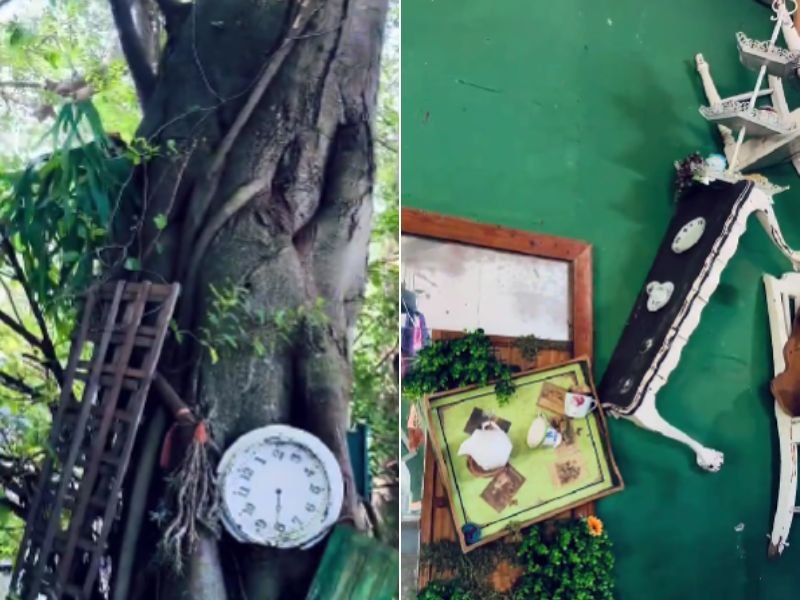 Hatter's Tea Garden