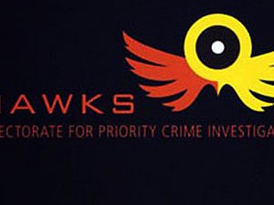 Hawks(P)_7.jpg